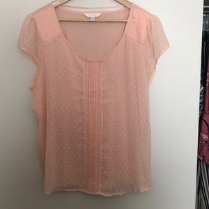 Short sleeve top